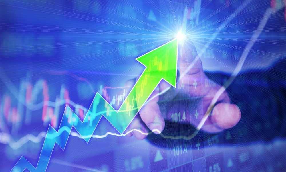 These stocks are best for the long term - Forexsail